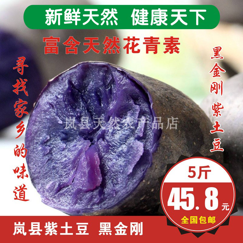 山西岚县土豆黑金刚紫土豆马铃薯紫皮紫心黑土豆洋芋马铃薯5斤装