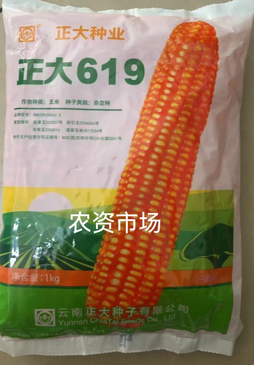 正大619高产抗病玉米喂鸡高产量玉米种玉米矮杆杂交大田种籽