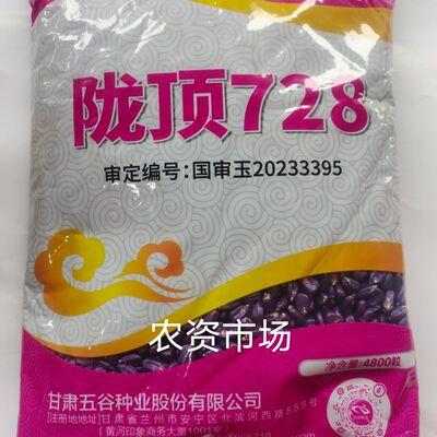 陇顶728玉米种子矮杆高产红轴长粒大棒抗病抗倒抗旱国审正品