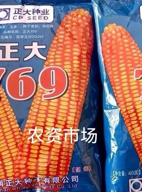 【热卖原装】正大769杂交玉米种子 抗倒伏高产稳产抗病性强