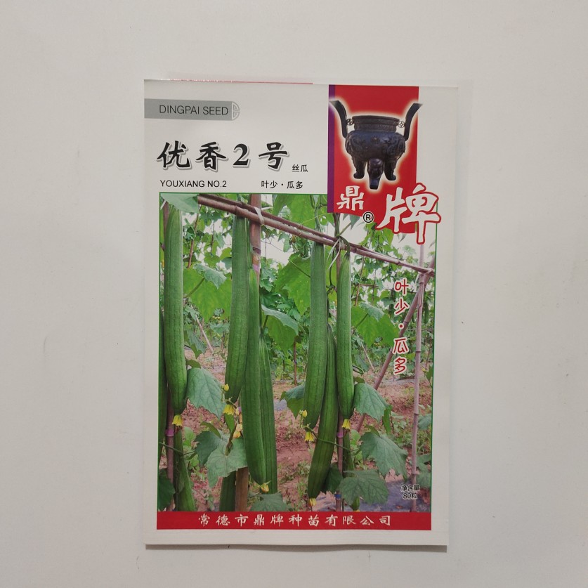 鼎牌优香2号香丝瓜种子翠绿色节蔬菜种子/种苗