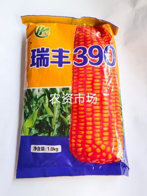 【热卖原装】瑞丰390杂交玉米种子 白轴 抗倒矮杆高产大田春夏播