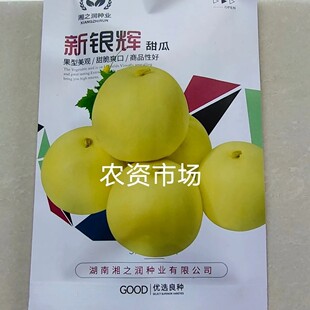 新银辉甜瓜种子 薄皮超甜高产抗病 果型美观 甜脆爽口 商品性好