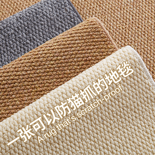仿剑麻客厅防滑地毯家用进门垫除尘耐磨脚垫sl 入户门地垫2024新款