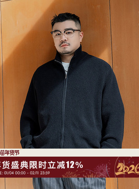 韦恩泽维尔加大宽松大码男秋冬小立领休闲棉腈毛衣拉链外套9135