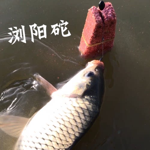 湖南浏阳钓法飞毛腿海竿