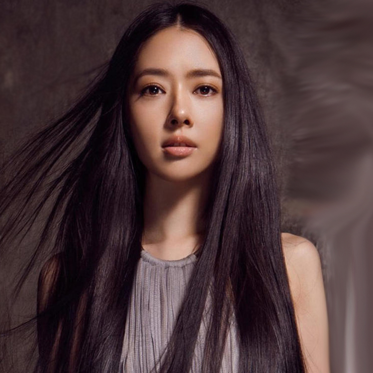 Perruque ANNA LUO  .  Long cheveux raides - Ref 2607429 Image 1