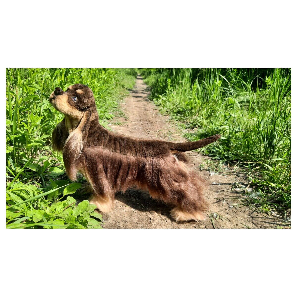 可卡犬毛绒逼真的狗 俄罗斯手工玩偶