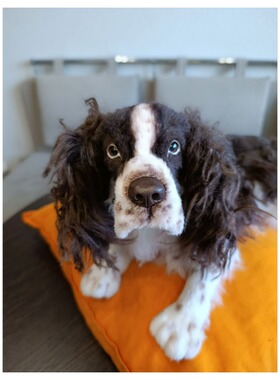 西班牙猎犬幼犬 俄罗斯手工玩偶