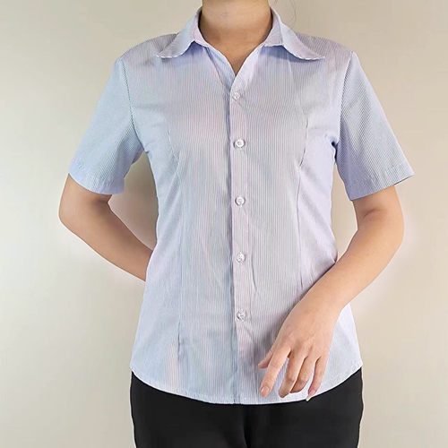 女衬衫职业白底蓝条棉大码长短袖