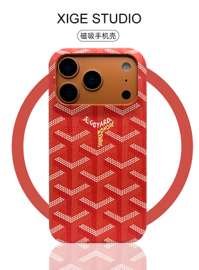 潮牌戈雅狗牙橙色皮质纹Magsafe磁吸适用于苹果17promax手机壳新款iPhone16promax/15promax/14promax保护套
