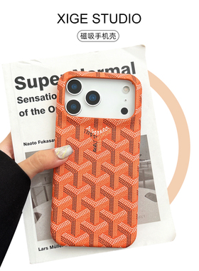 橙色戈雅狗牙Magsafe磁吸适用于苹果17promax手机壳新款iPhone16promax/15promax/14promax/13promax保护套
