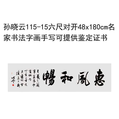 高精1:1临摹手写孙晓云书法题字六尺对开48x1领导书法题字
