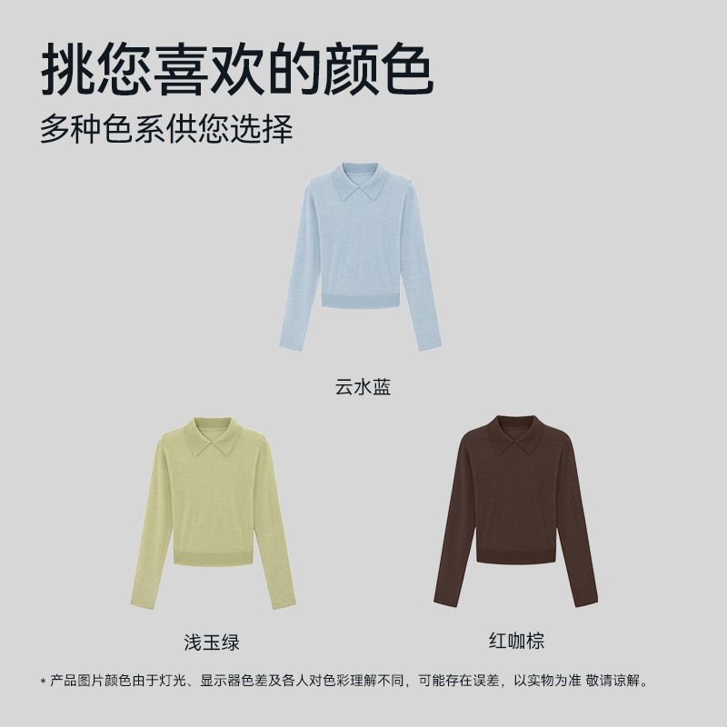 女装t恤套头polo衫桑蚕丝羊毛秋季毛织轻薄透气显瘦长袖健身上衣
