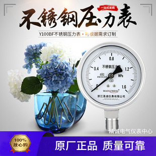 Y100BF不锈钢压力表油压耐高温耐腐蚀蒸汽氨用水液气压表M20圣迪