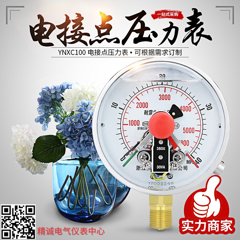 圣迪YNXC100电接点压力表耐震