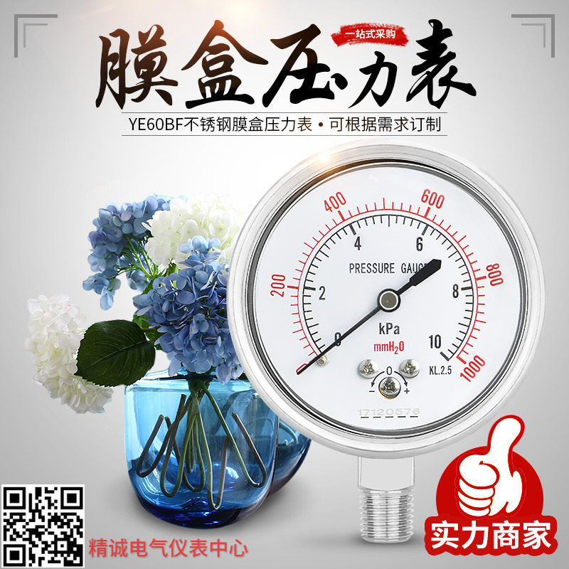 圣迪YE60BF膜盒压力表