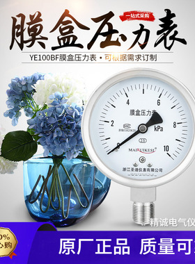 YE100BF不锈钢膜盒压力表哑光 20 30 40KPa耐高温腐蚀微压表圣迪