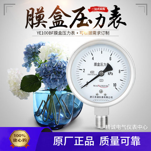 圣迪YE100BF不锈钢膜盒压力表