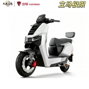 立马电动车原厂配件极限车型塑件喷漆件外壳挡风玻璃前泥板面板等