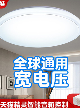 110V天猫精灵卧室led智能遥控家用书房过道圆形简约台湾吸顶灯具