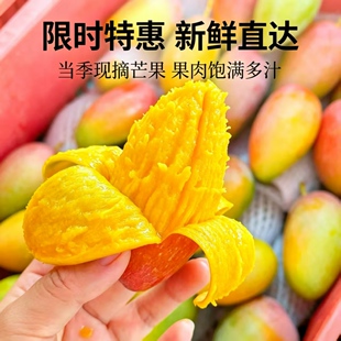 芒果新鲜大果10斤水果云南元江小台芒脆甜金凤凰正宗台农特大批发