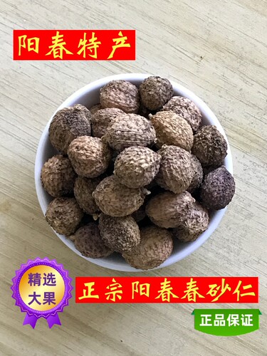 春砂仁干果农家砂仁阳春正宗特产