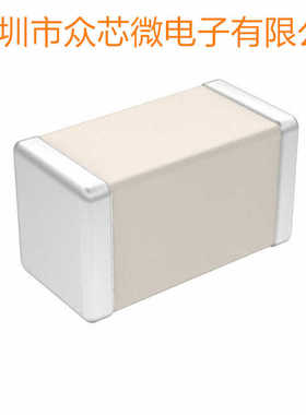 全新原装 600S101GT250XT 100 pF ±2% 250V 陶瓷电容器