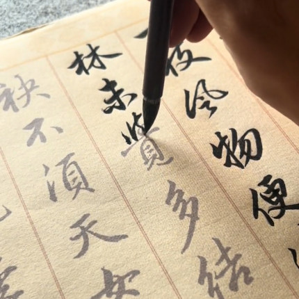 赵孟俯行书作品梅花诗描红长卷临摹毛笔字帖宣书画纸3遍装6米长卷