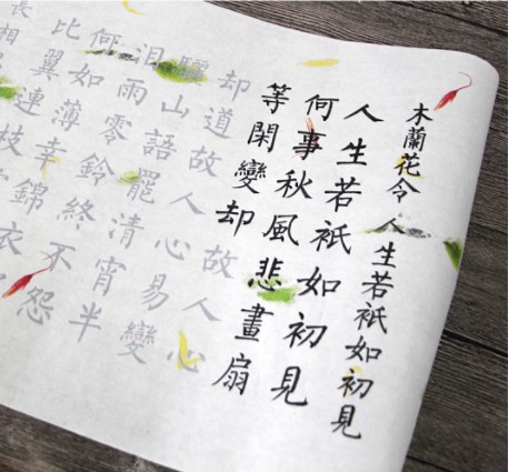 颜体欧体柳体行书纳兰词小楷毛笔临摹描红半熟宣纸字帖四尺对开