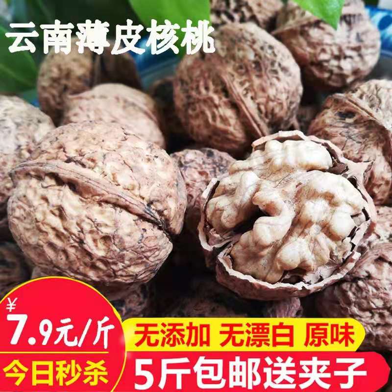 薄皮核桃云南纸皮核桃2023新货薄壳手剥山核桃办公室零食黑桃包邮