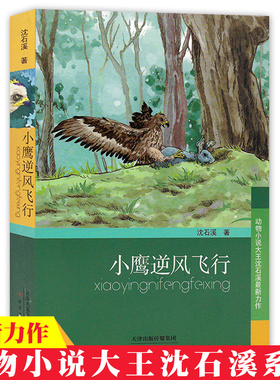 动物小说大王沈石溪系列小鹰逆风飞行