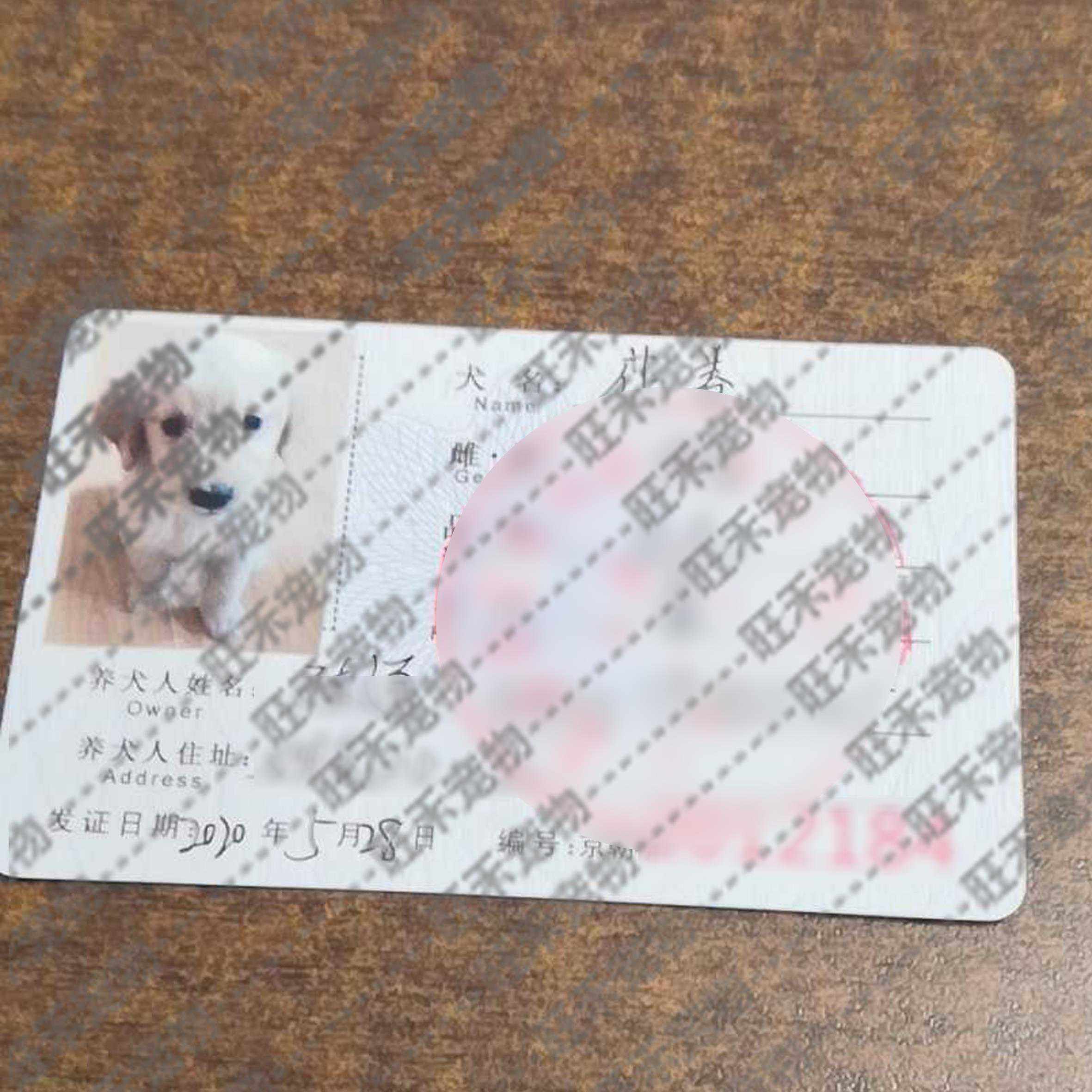 代办狗证 代跑腿 小中大型犬北京通用顺丰包邮送礼物养犬新办续办