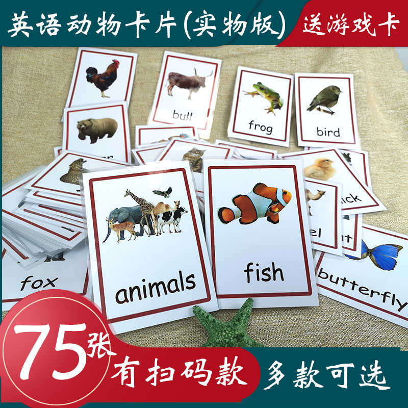 实物儿童语言认知教师单词卡片
