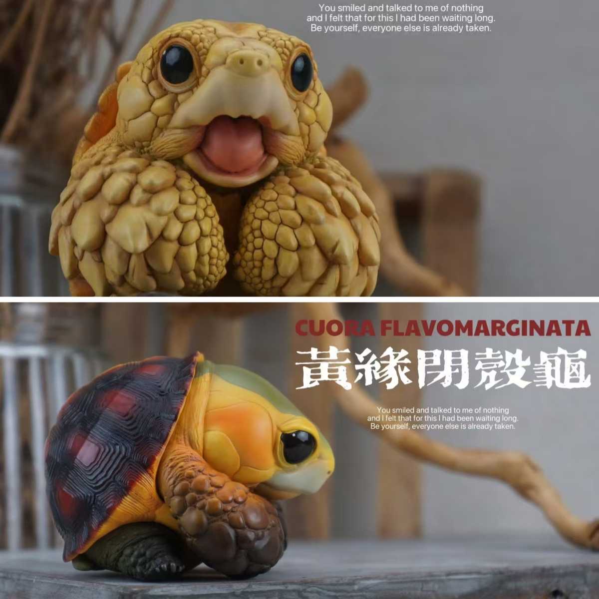 2025吨吨动物园龟4手办雕像