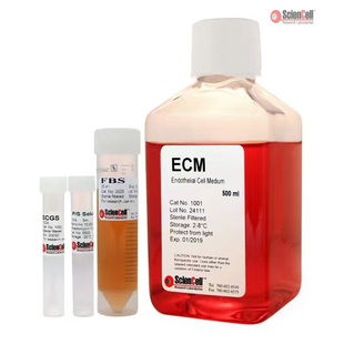 ScienCell 1001 内皮细胞培养基 ECM培养液 500ML