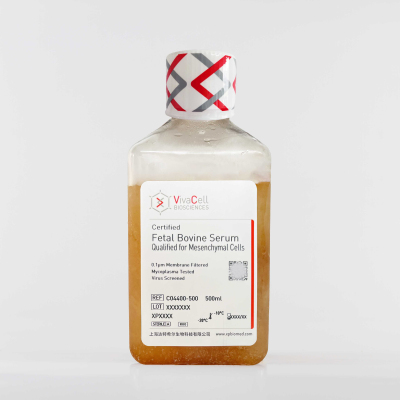 VivaCell间充质干细胞胎牛血清