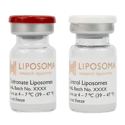 氯膦酸二钠巨噬细胞清除套装