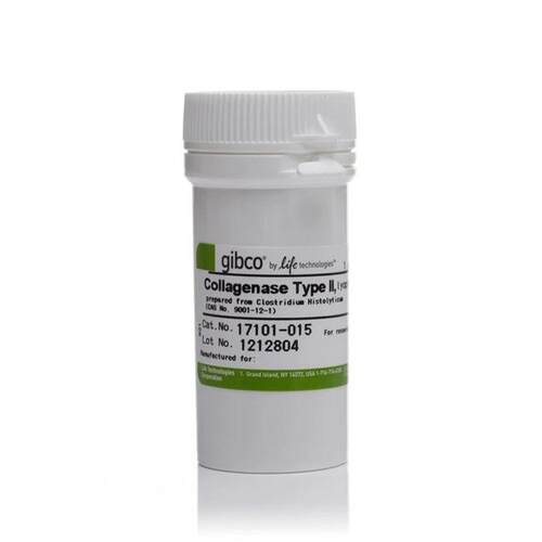 Gibco 17101015 胶原酶，II 型，粉末  1g