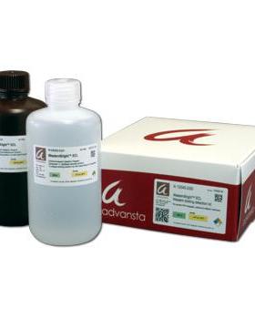 Advansta K-12045-D50 WesternBright ECL HRP substrate 发光液