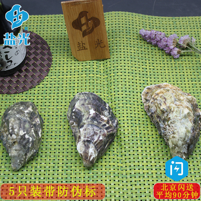 法国吉拉朵Gillardeau 5只装原装生蚝水产贝壳牡蛎N1N0N2非吉拉多