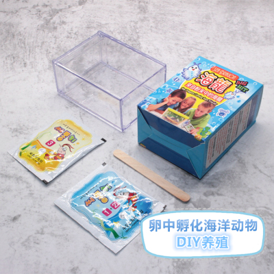孩子科普DIY小海龙宠物