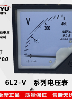 huyu环宇电气42L6  6L2-V 电压表 安装式仪表250V450V500V 指针表