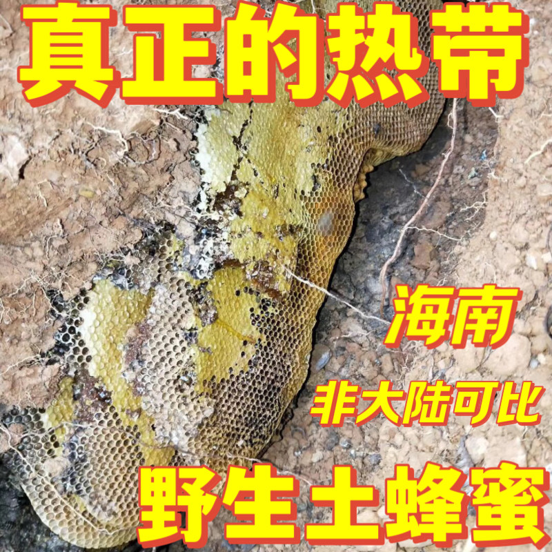海南野生土蜂蜜百花蜜石洞天然成熟老少放心食用养畏非内地货可比
