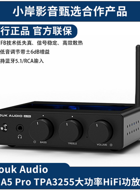 【小岸影音】Douk Audio A5 Pro TPA3255蓝牙HiFi2.1功放耳放