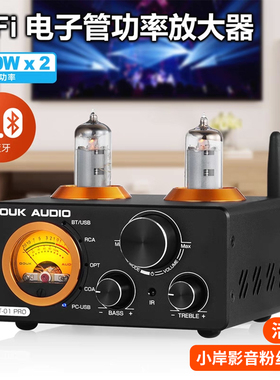 【小岸影音】Douk Audio ST-01PRO胆机电子管200W功放电脑声卡