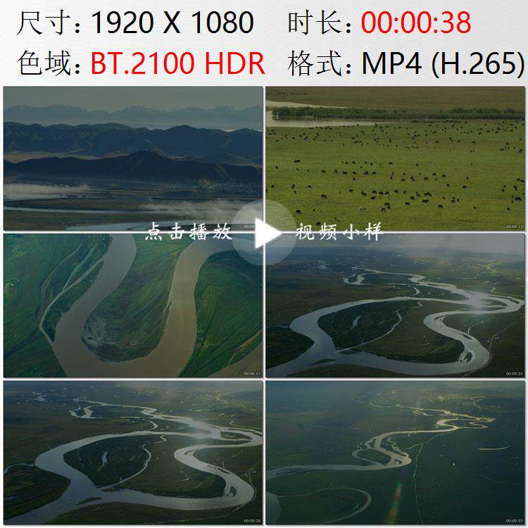 航拍四川阿坝若尔盖唐克镇草原牧场牦牛群黄河大转弯实拍视频素材