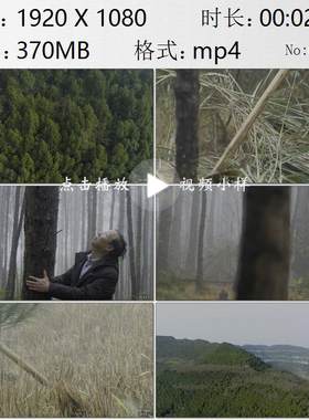 四川阆中古城植树造林长江中上游防护林体系工程绿化实拍视频素材