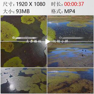 航拍四川布拖县乐安湿地自然保护区黑鹳绿翅鸭鸟群实拍视频素材