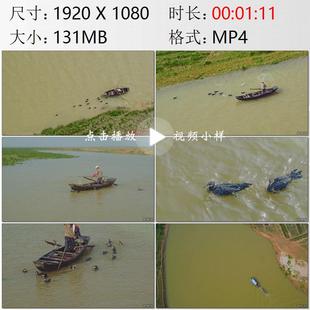 航拍江西上饶市余干县渔民架小船鸬鹚捕鱼鱼鹰渔老鸹实拍视频素材